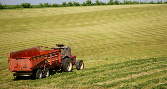 Un tracteur intervient dans un champ